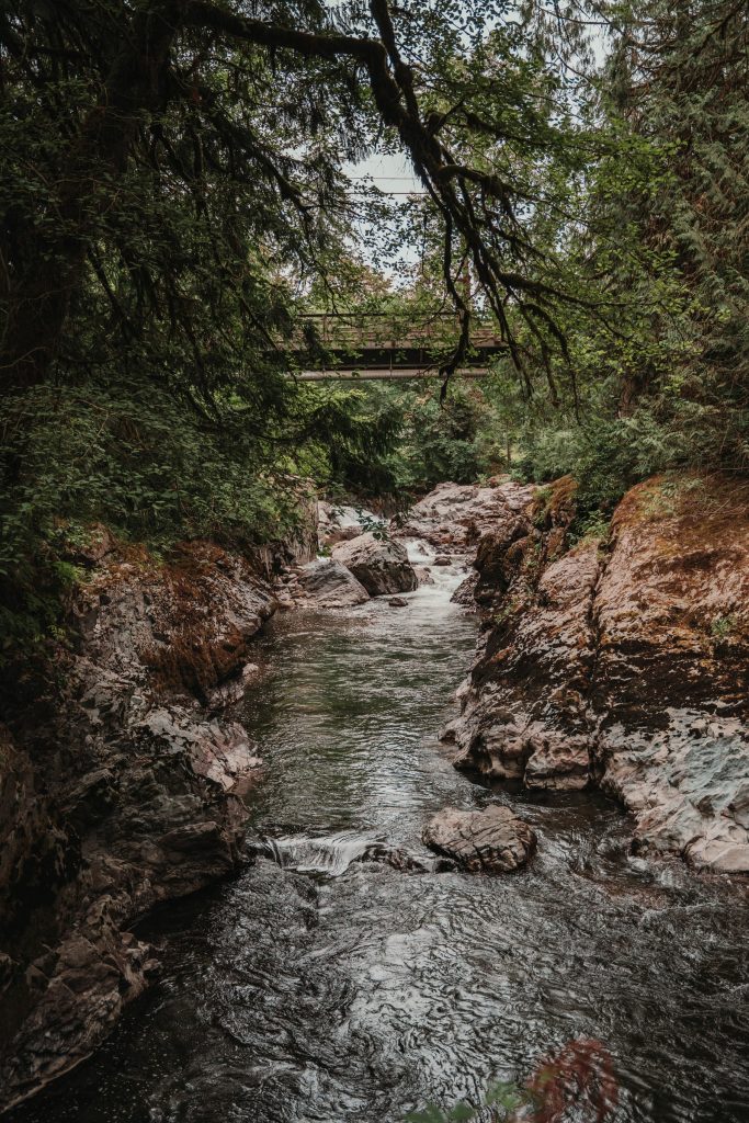 Scenery from Washington — photograph 6