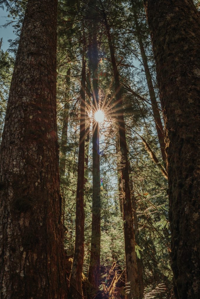 Scenery from Washington — photograph 15