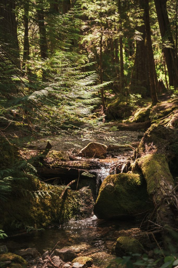 Scenery from Washington — photograph 18
