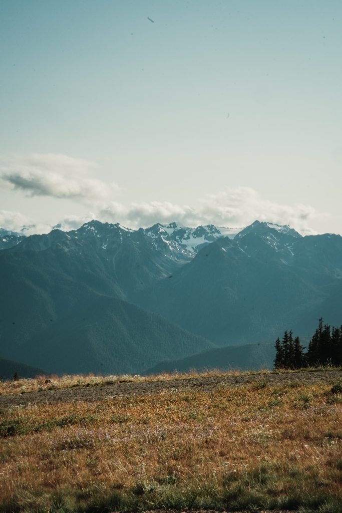 Scenery from Washington — photograph 21