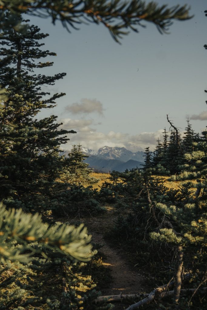 Scenery from Washington — photograph 24