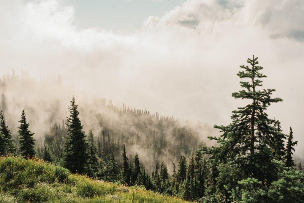 Scenery from Washington — photograph 25
