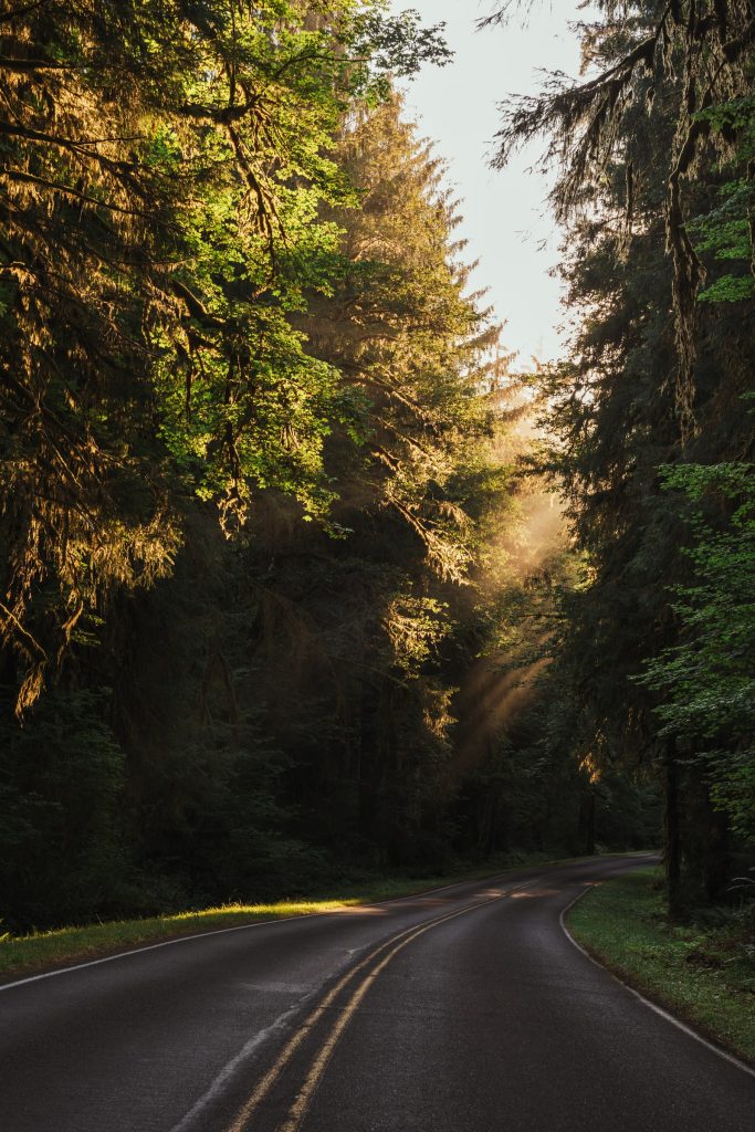 Scenery from Washington — photograph 30