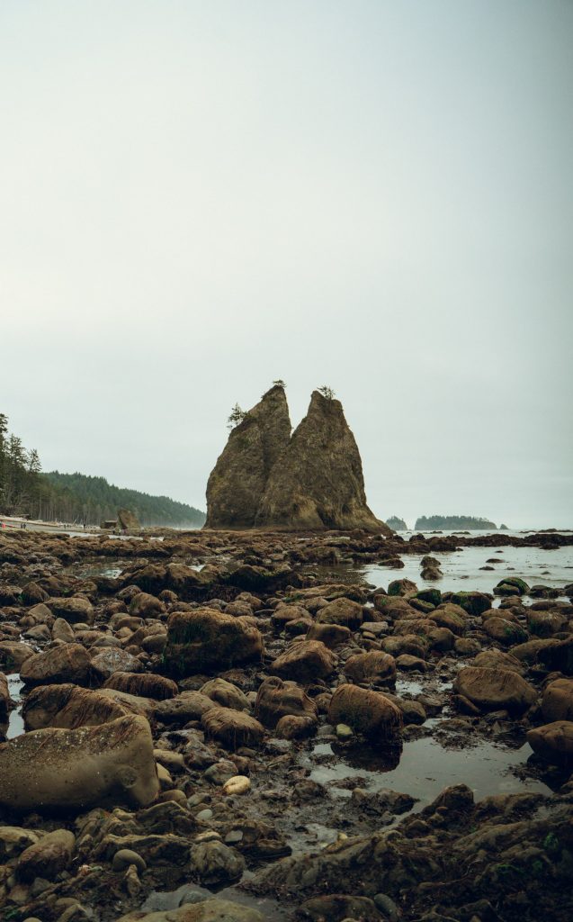 Scenery from Washington — photograph 36